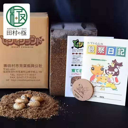 画像3