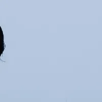 小松企画設立の経緯