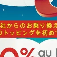 povo2.0の本気割