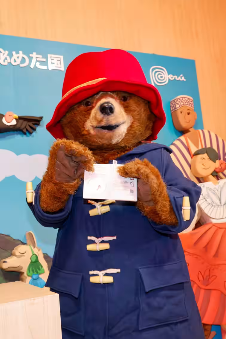 画像7