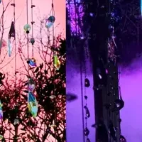 夜のアート体験