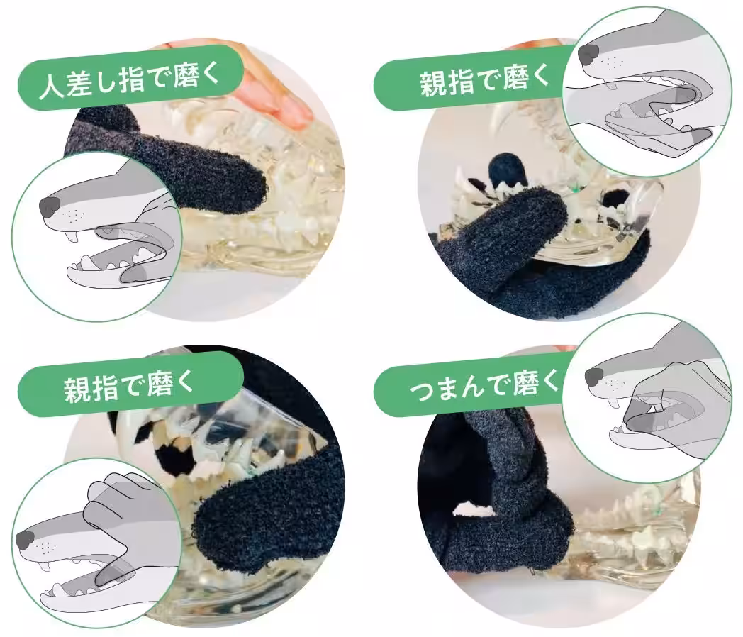 画像5