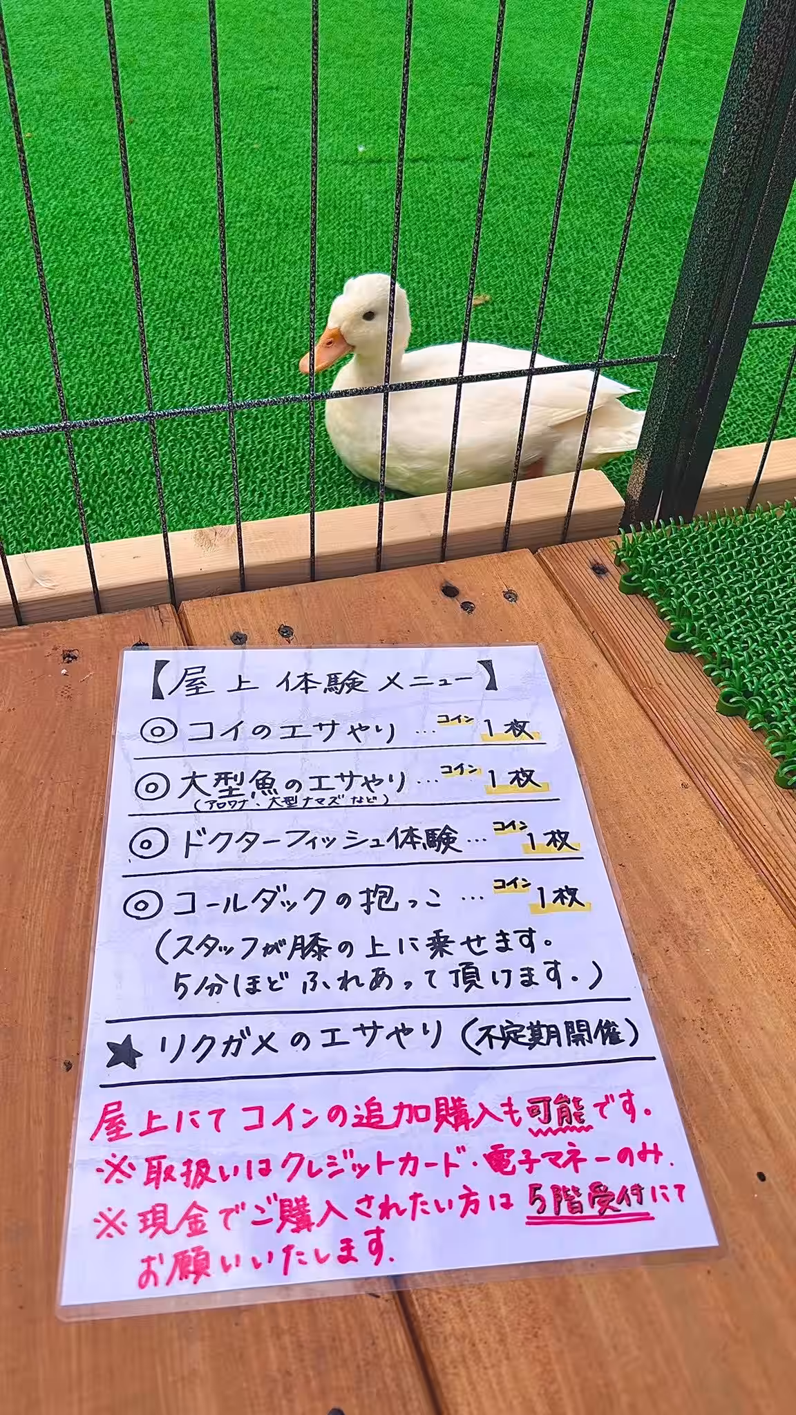 画像15