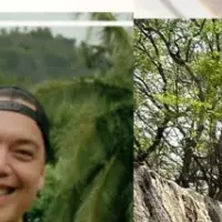 ハワイの魅力を動画で