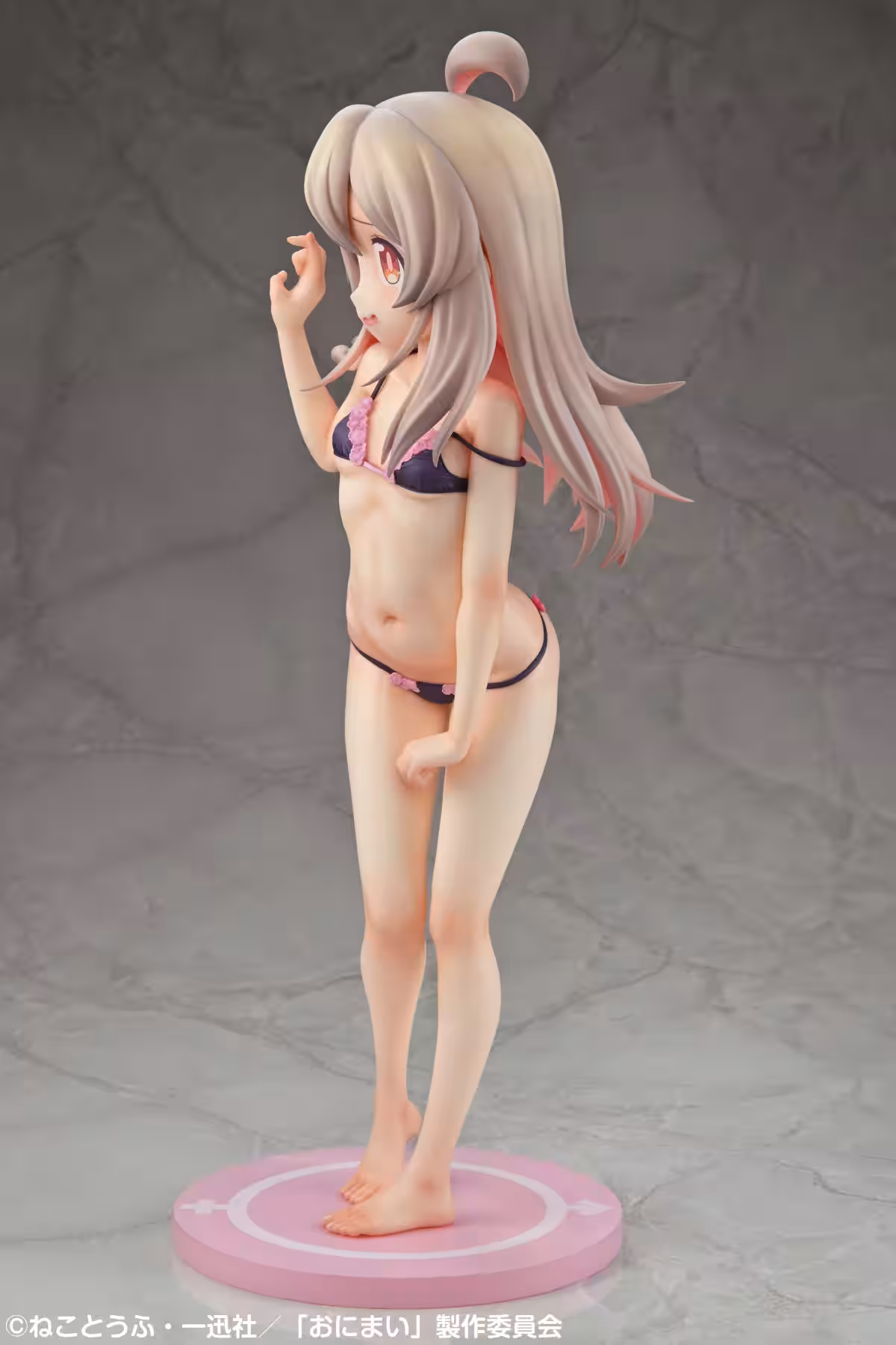 画像15