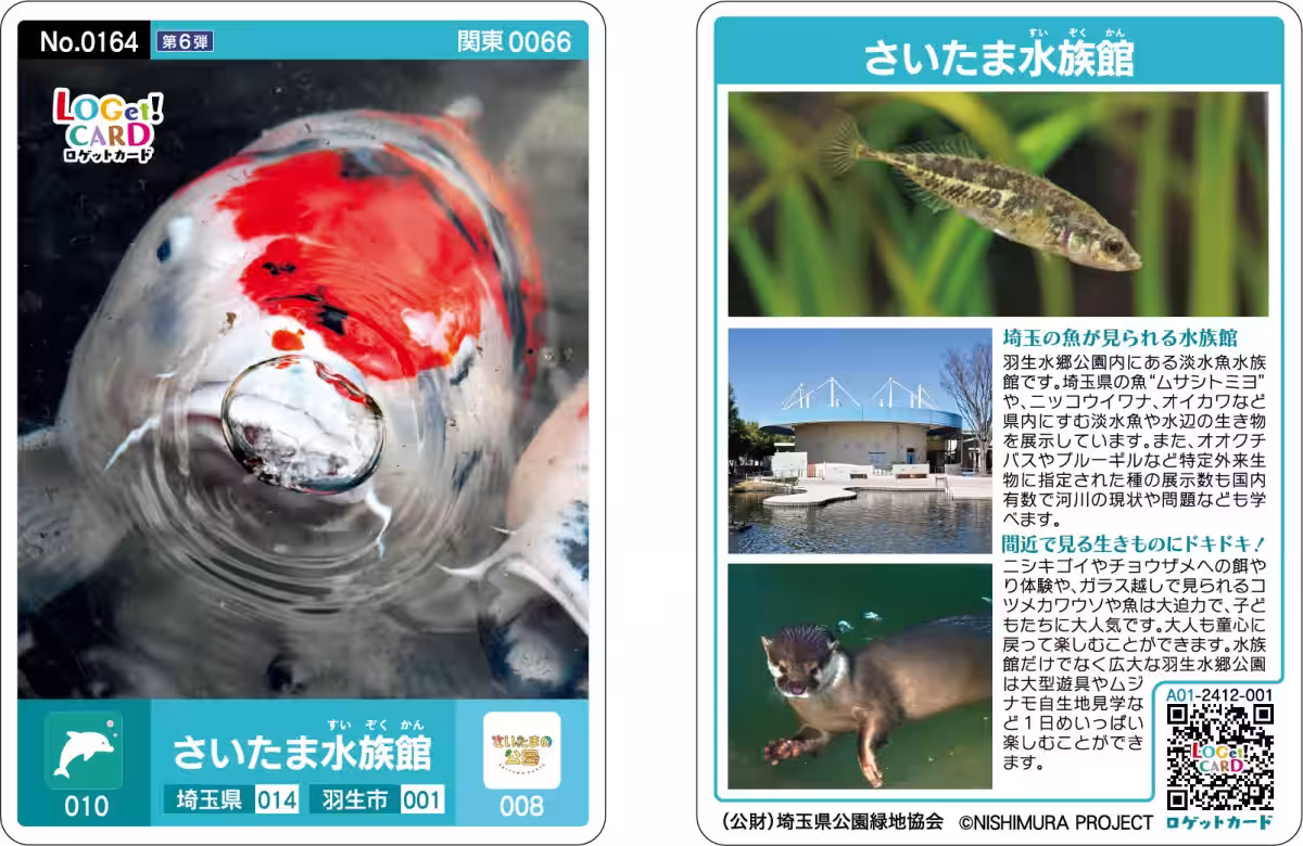 画像16