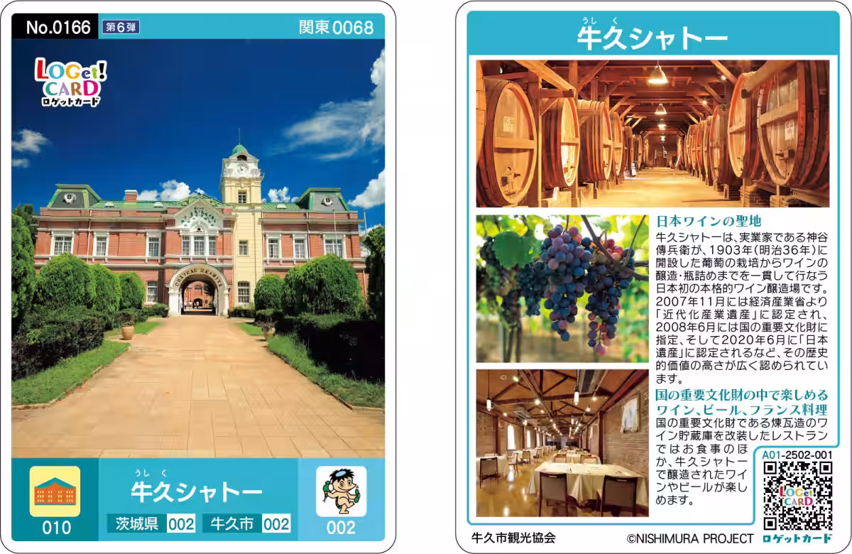 画像7