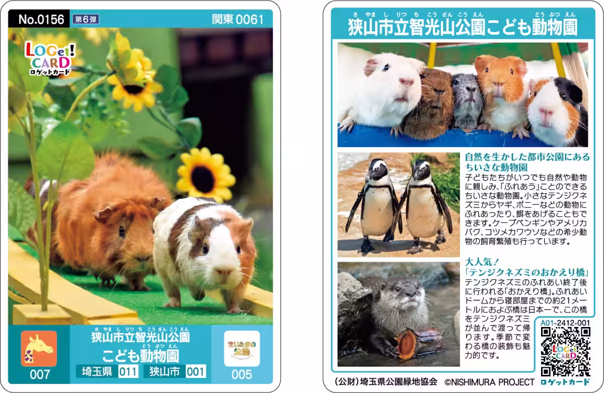 画像13