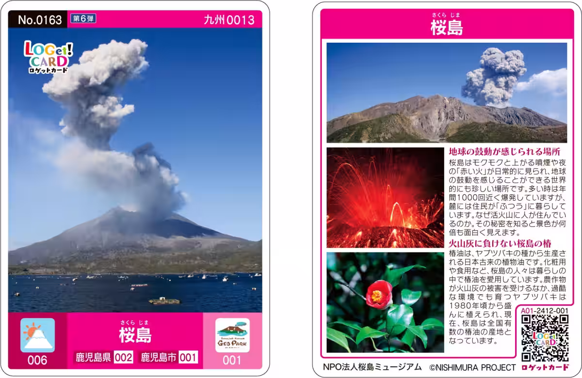 画像8