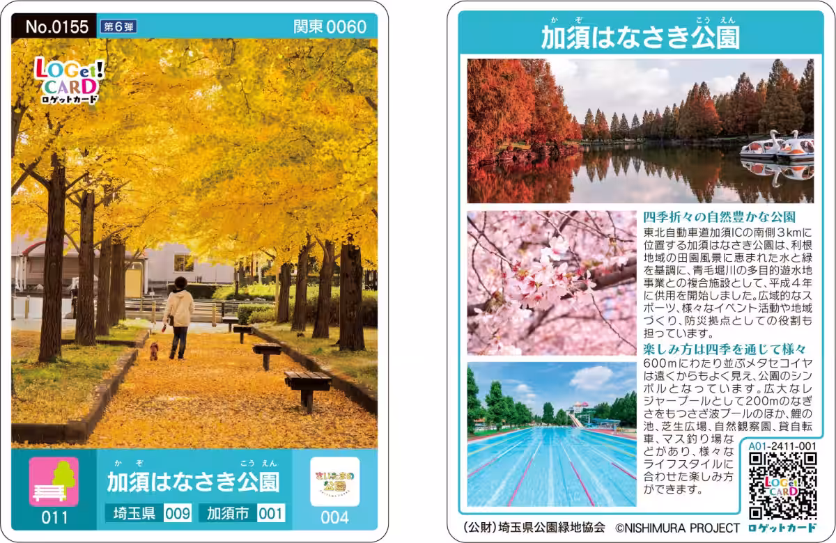 画像12