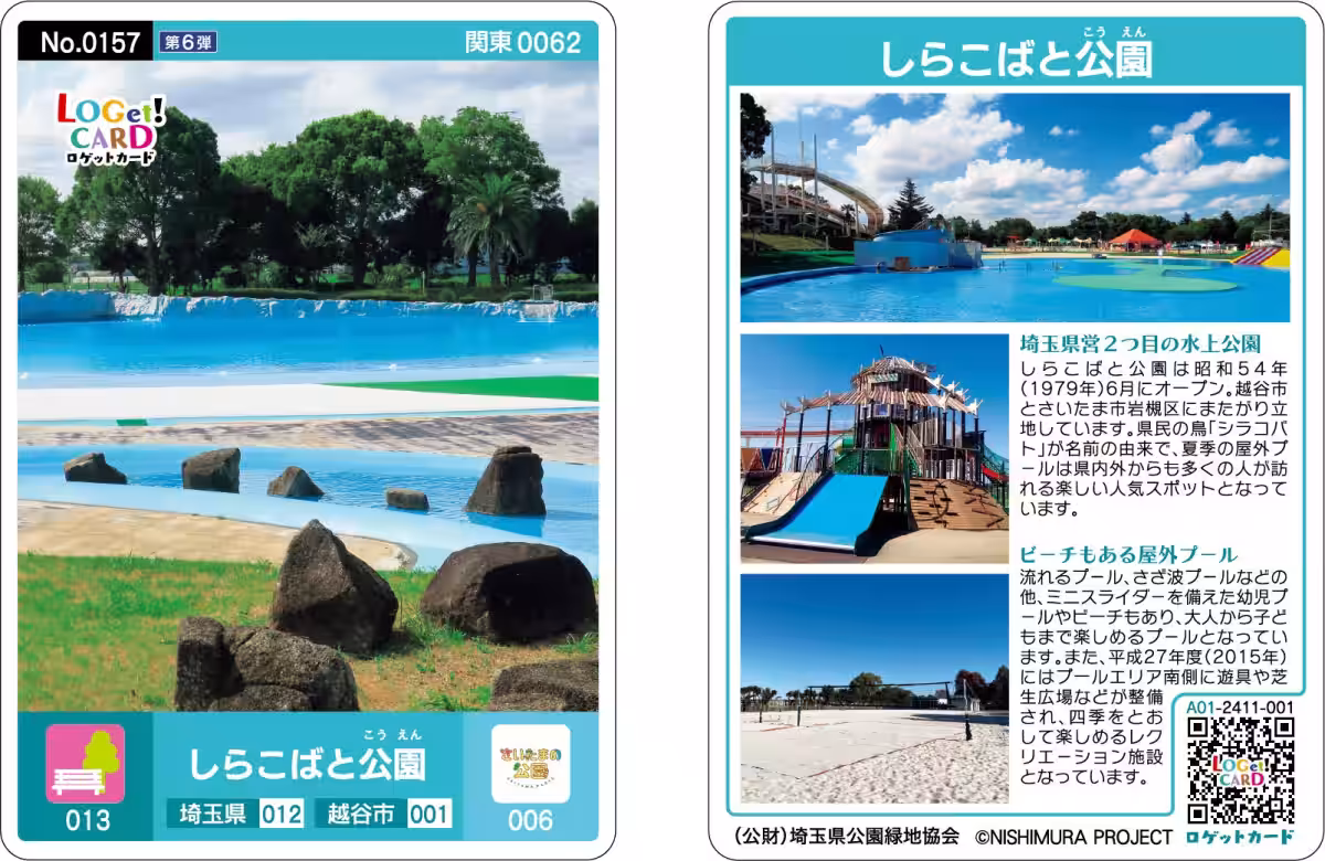 画像14