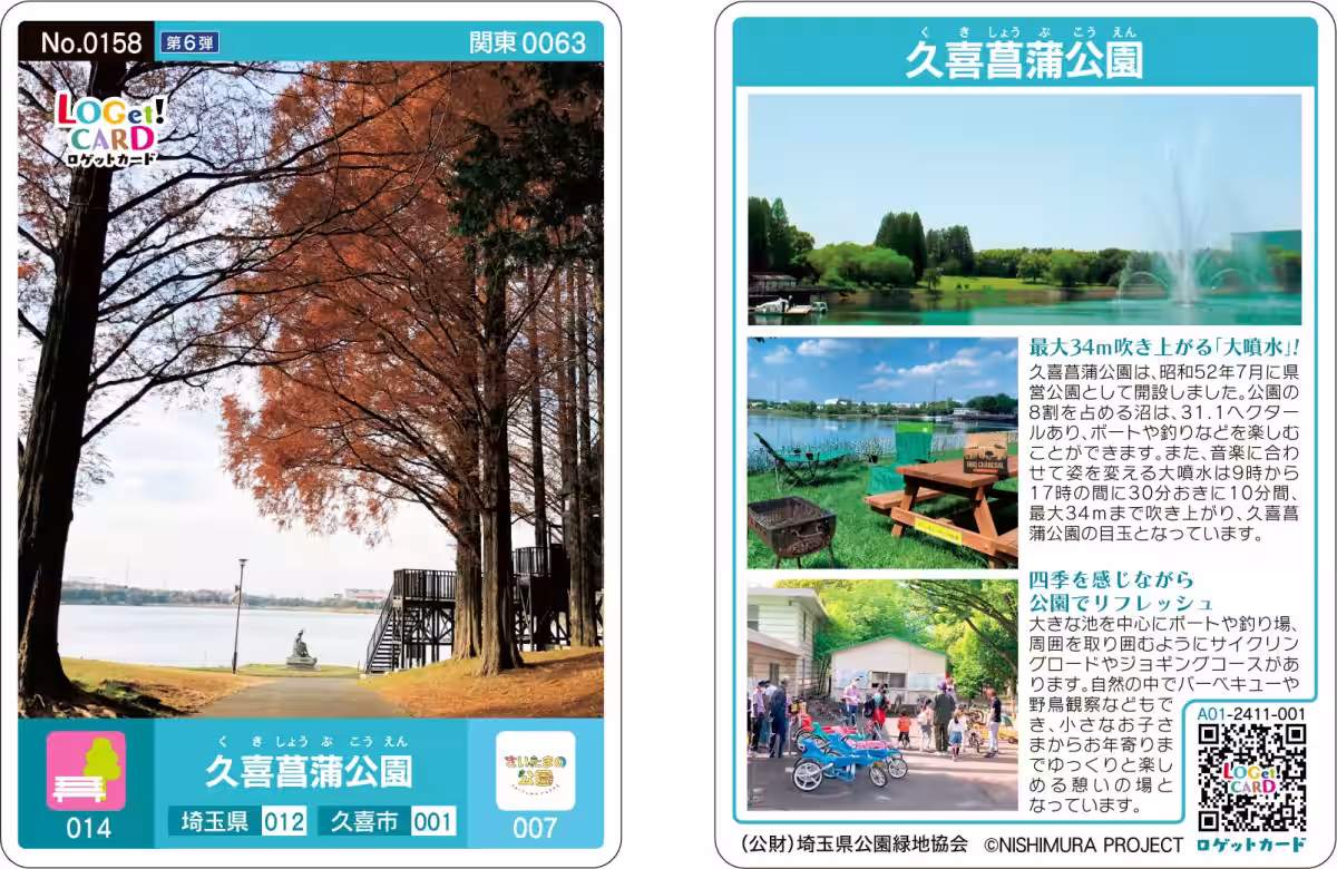 画像15