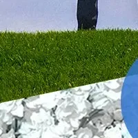 aimの新プラン登場！