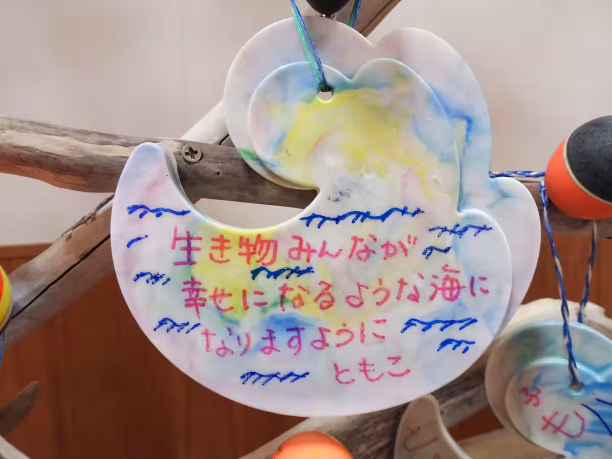 画像6
