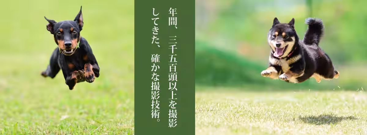 画像13