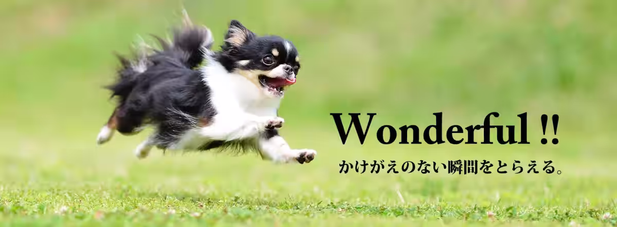 画像12