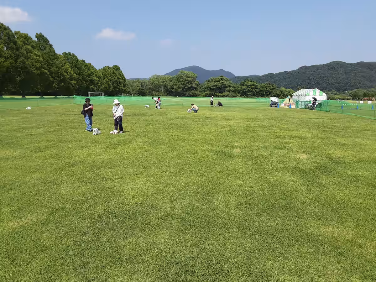 画像6