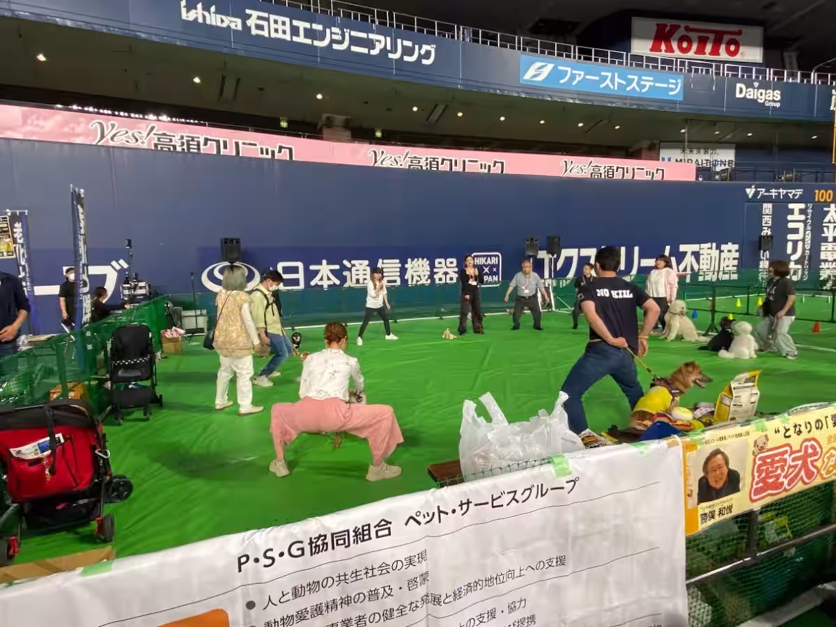 画像10