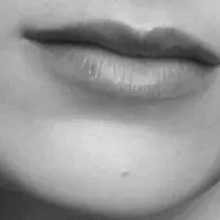 ポメラートポップアップ開催