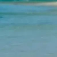 サーフィン仲間募集