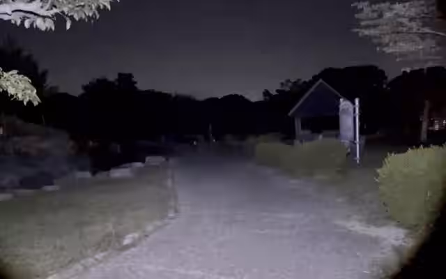画像7