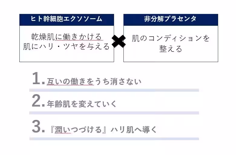 画像13