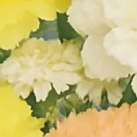 お母さんに贈る愛