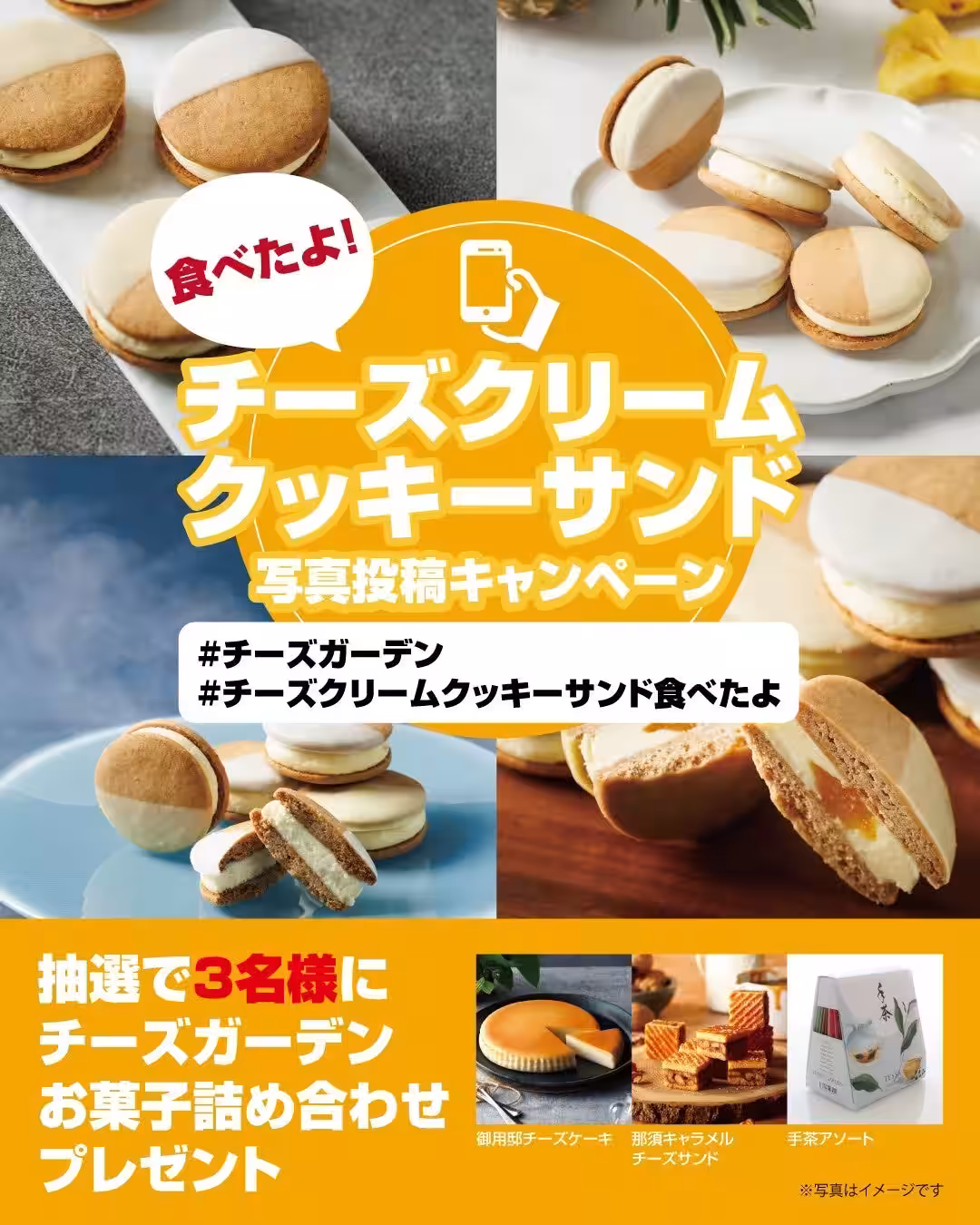画像6