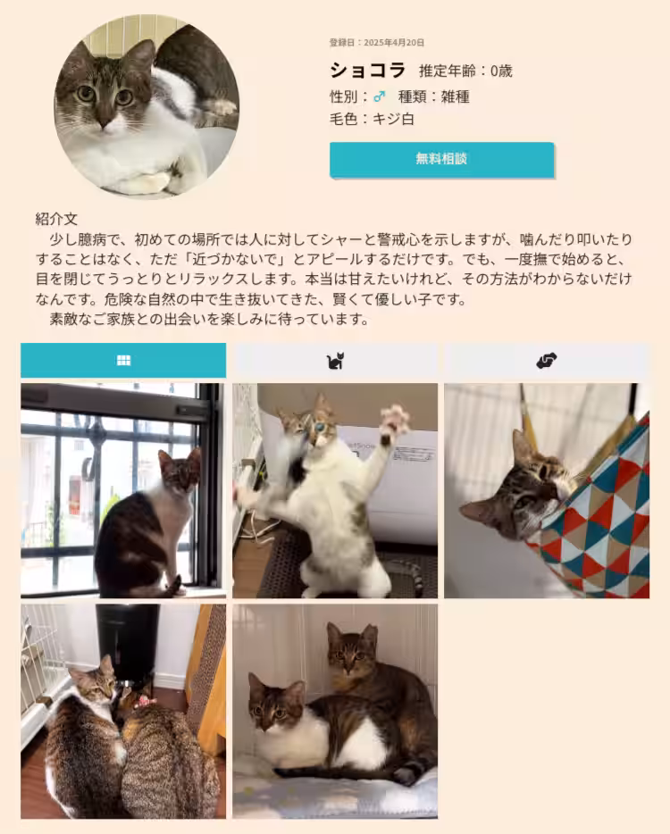 画像4