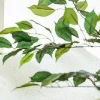 アンダーズ 東京の特別マッサージ