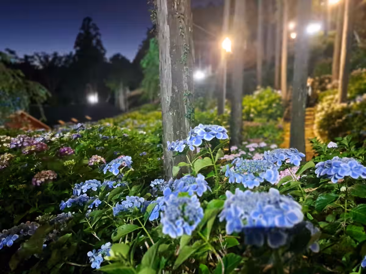 画像11