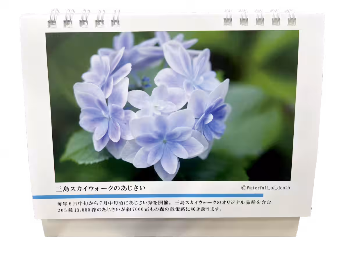 画像15