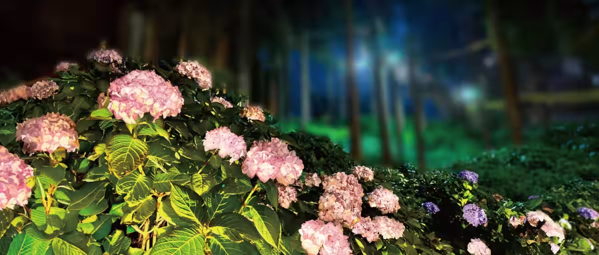 画像9