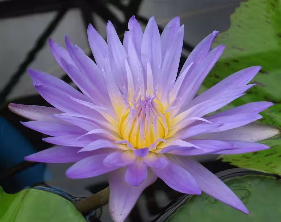 画像20