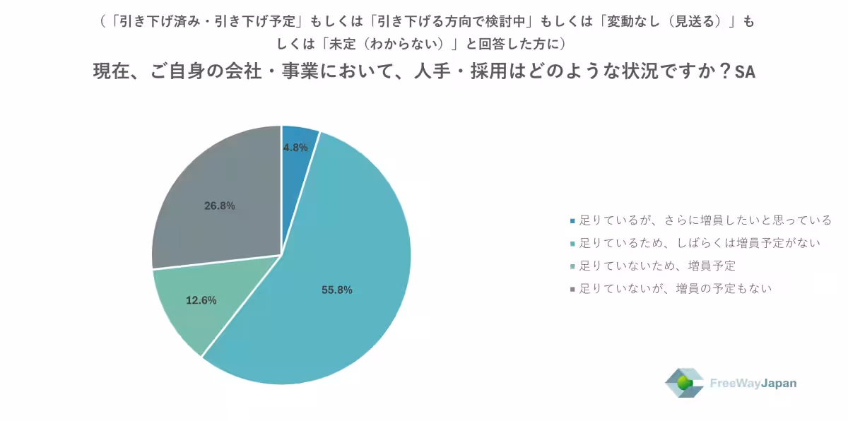 画像11