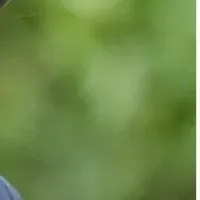 新色UV帽子登場