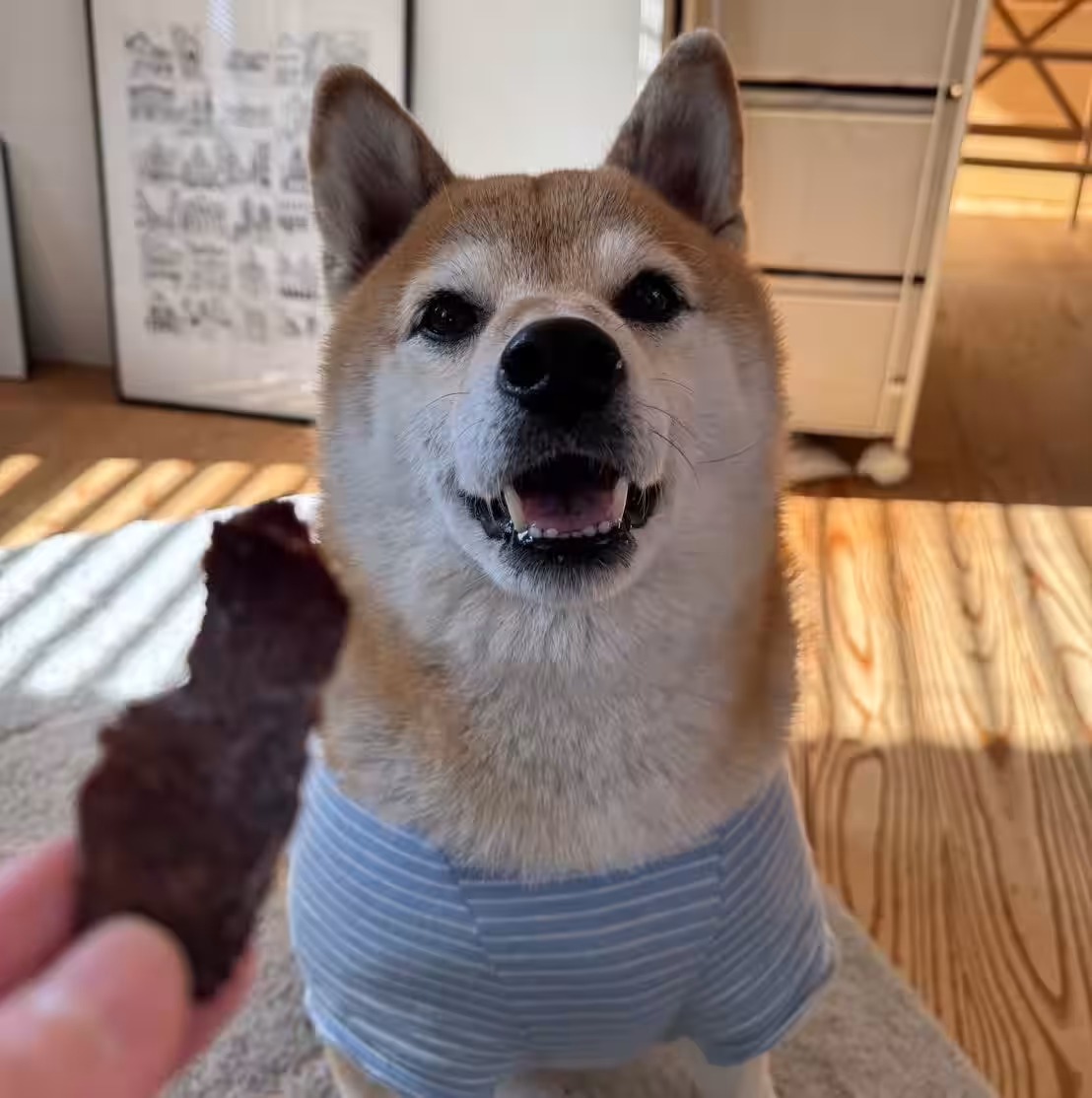 画像6