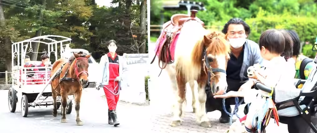 画像17