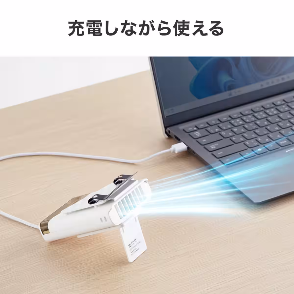 画像12