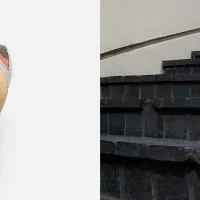 レイノルズの新シューズ