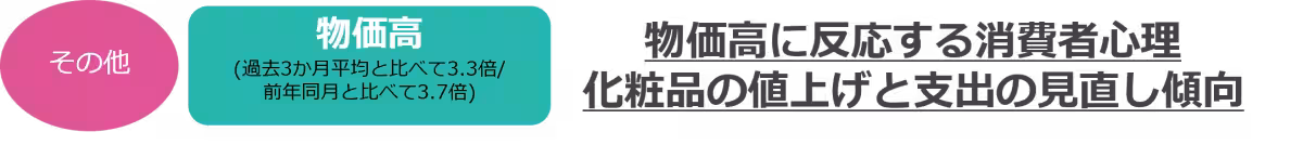 画像13