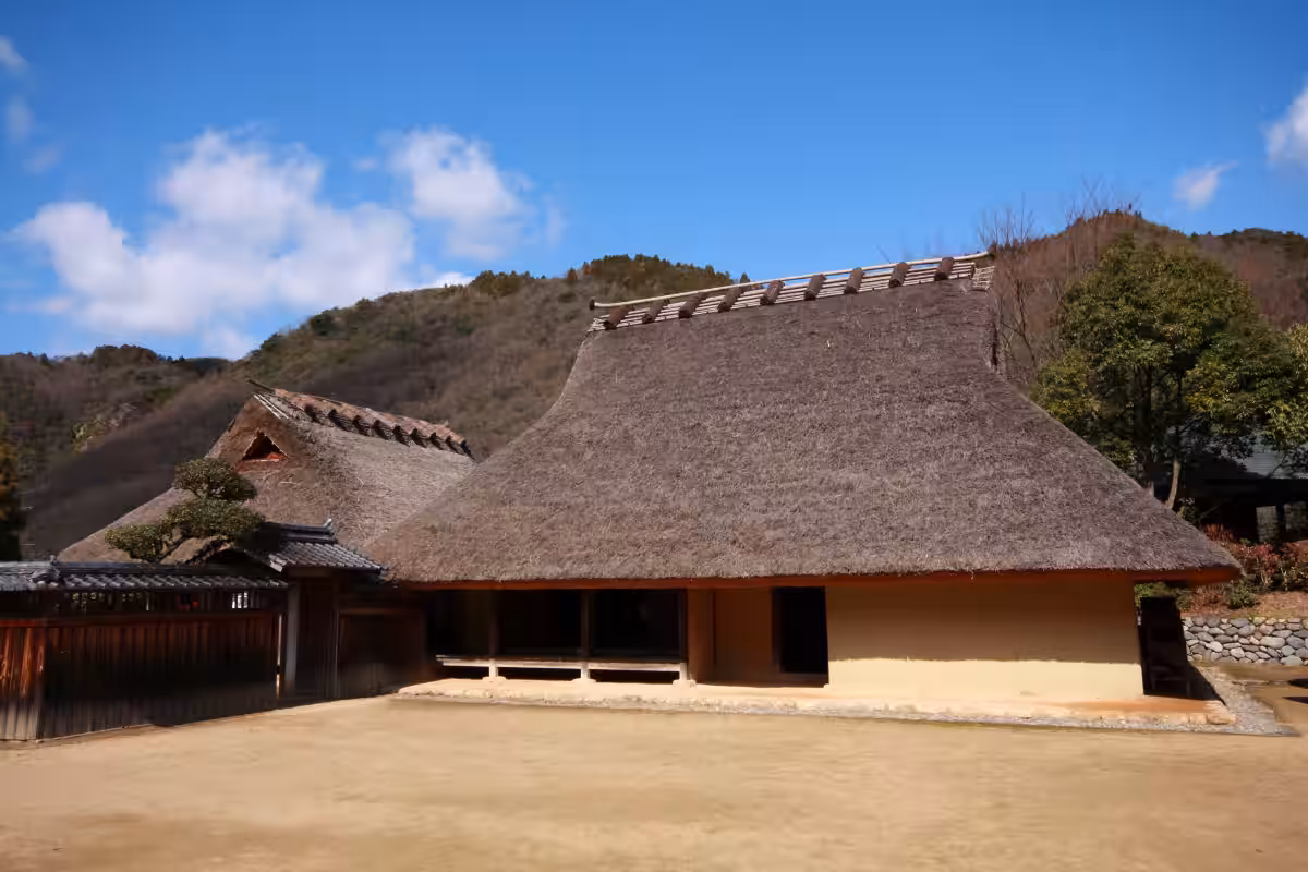 画像6