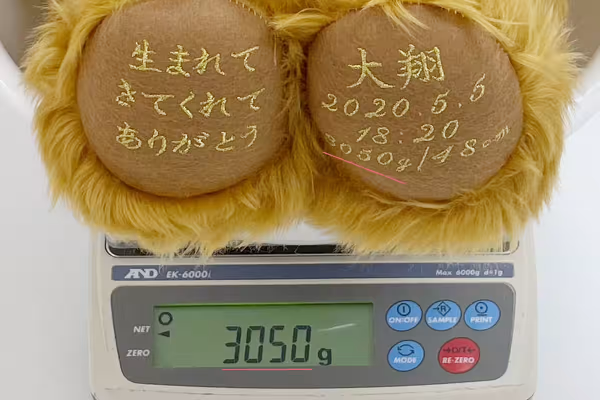 画像4