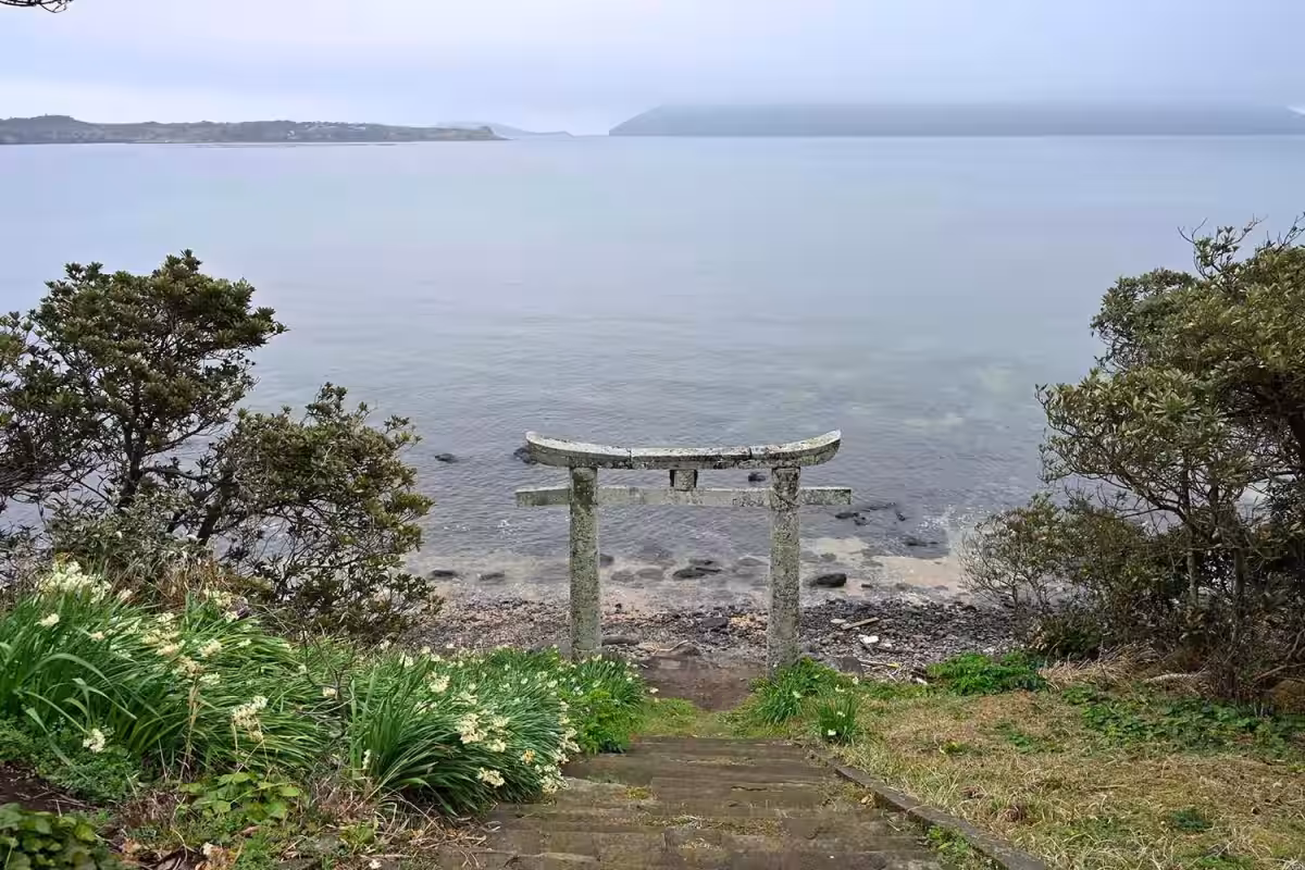 画像3