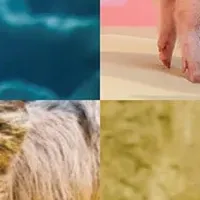 GW水族館大盛況！