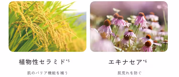 画像12