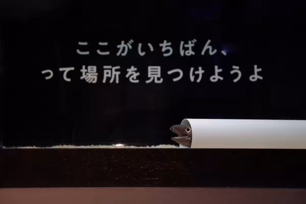 画像12