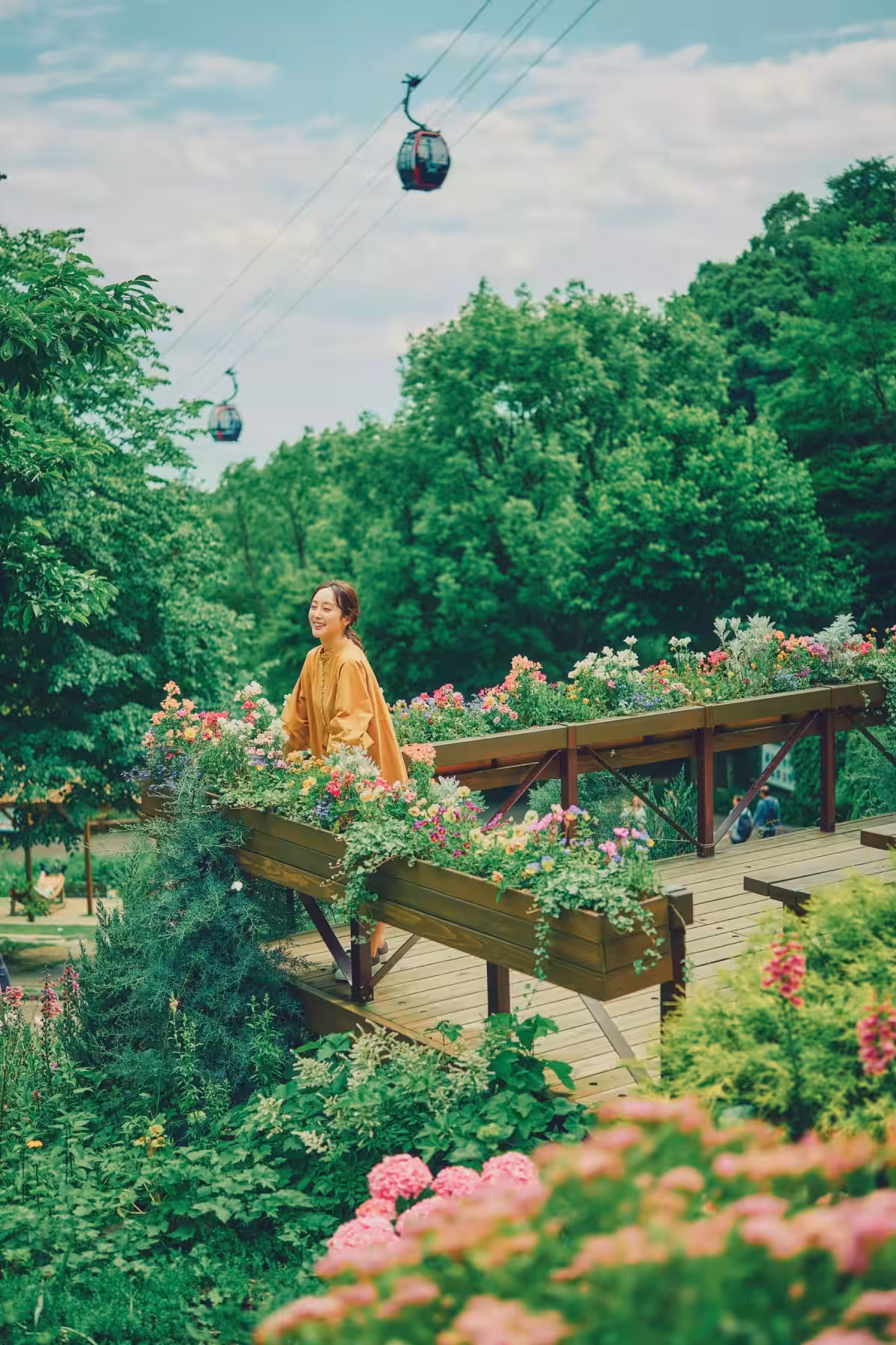 画像20