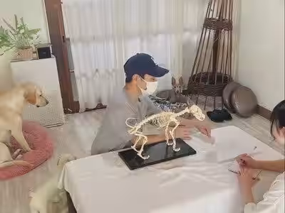 画像8