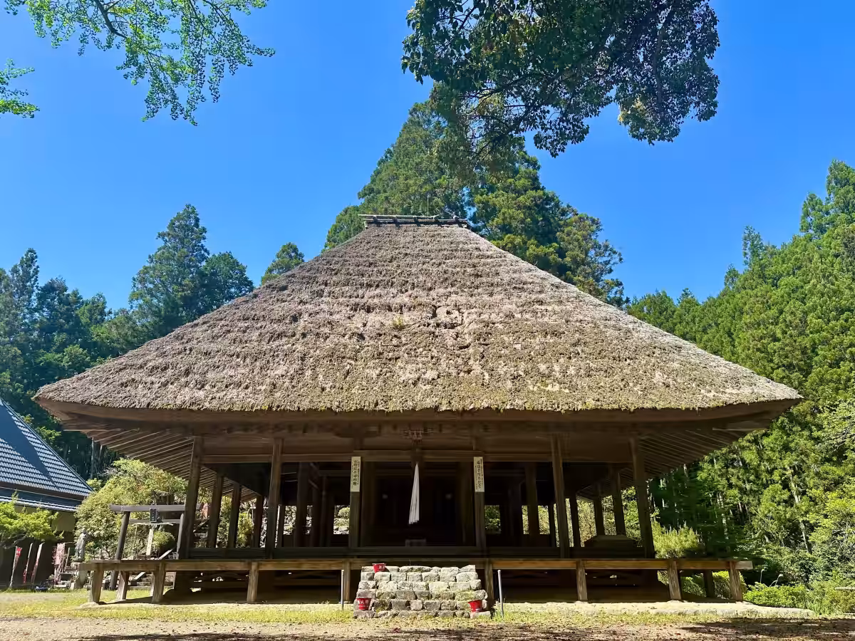 画像6